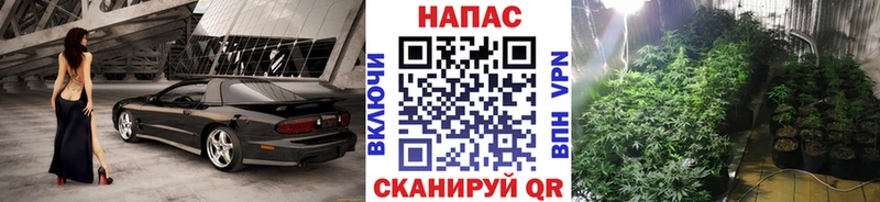Купить наркоту Абакан Амфетамин  Бошки Шишки  Псилоцибиновые грибы  Гашиш  Мефедрон  Cocaine  Alpha-PVP 